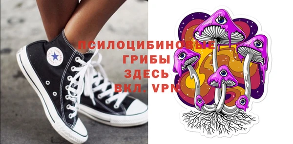 spice Няндома