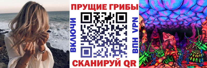 Галлюциногенные грибы мицелий  сколько стоит  Раменское 
