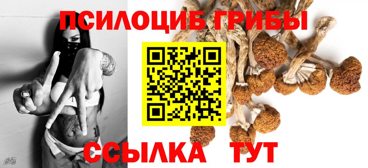 Псилоцибиновые грибы Cubensis  Галлюциногенные грибы прущие грибы  Вход с VPN  Раменское 